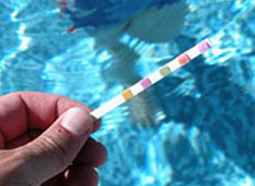 Test strip