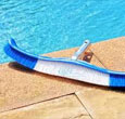 pool brush